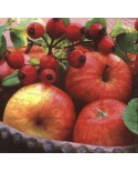 Daržovės,vaisiai,uogos 33x33cm