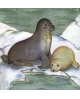 Kalėdinės 33x33