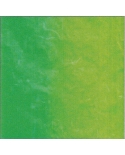 Ryžinis popierius vaivorykštinis šv.žalia/žalia 64x47cm art.25