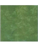 Ryžinis popierius spv. tamsia žalia 64x47cm art.58