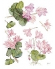 popierius