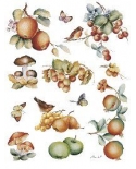 popierius 30x40cm