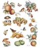 popierius