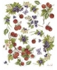 popierius