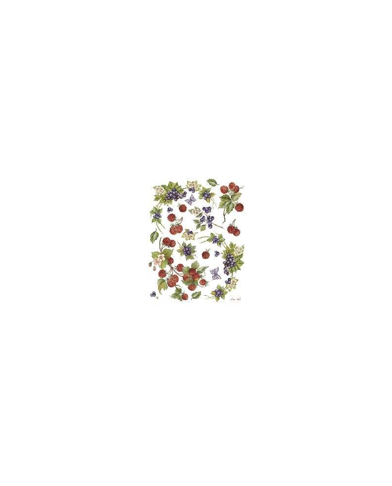 popierius
