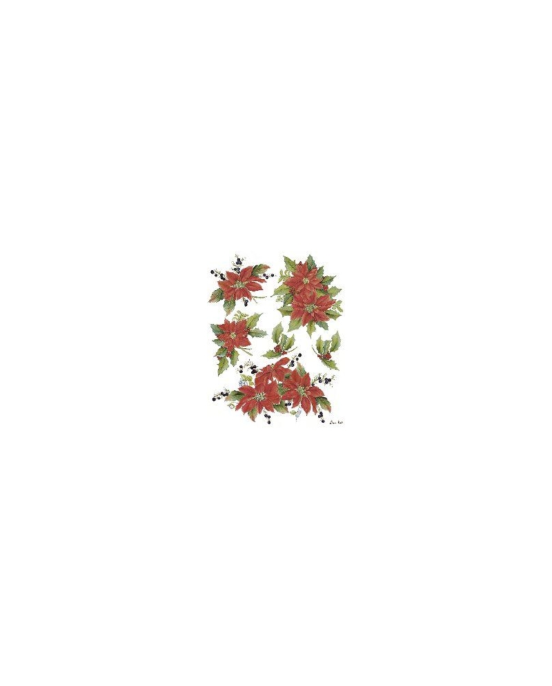 popierius