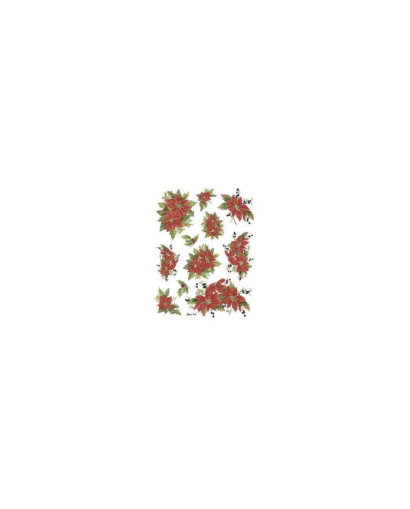 popierius