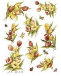 popierius 30x40cm