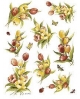 popierius