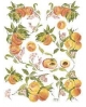 popierius