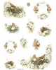 popierius