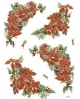popierius
